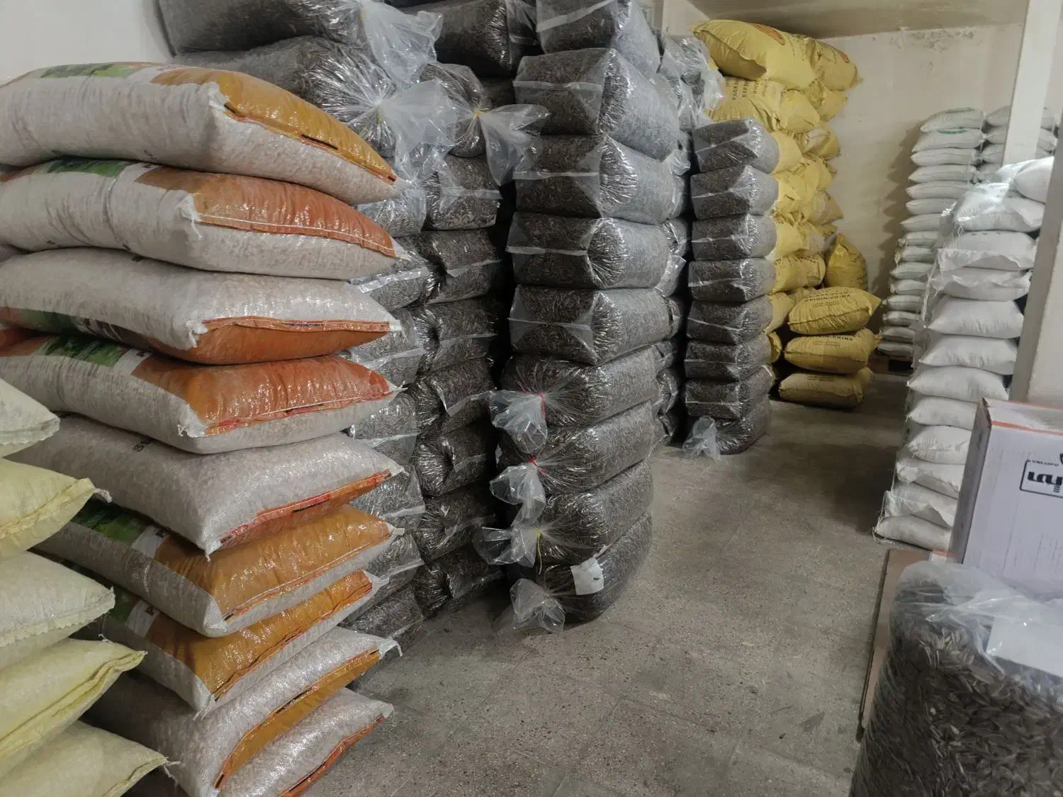 تخمه کدو و آفتابگردان|خوردنی و آشامیدنی|تهران, جوادیه تهرانپارس|دیوار