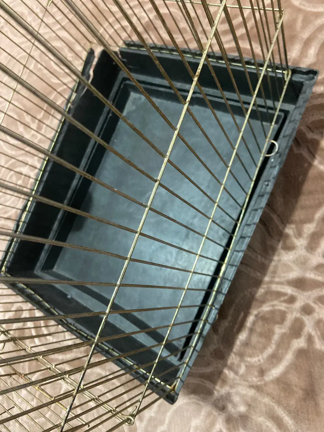 قفسه پرنده|لوازم جانبی حیوانات|کرج, عظیمیه|دیوار