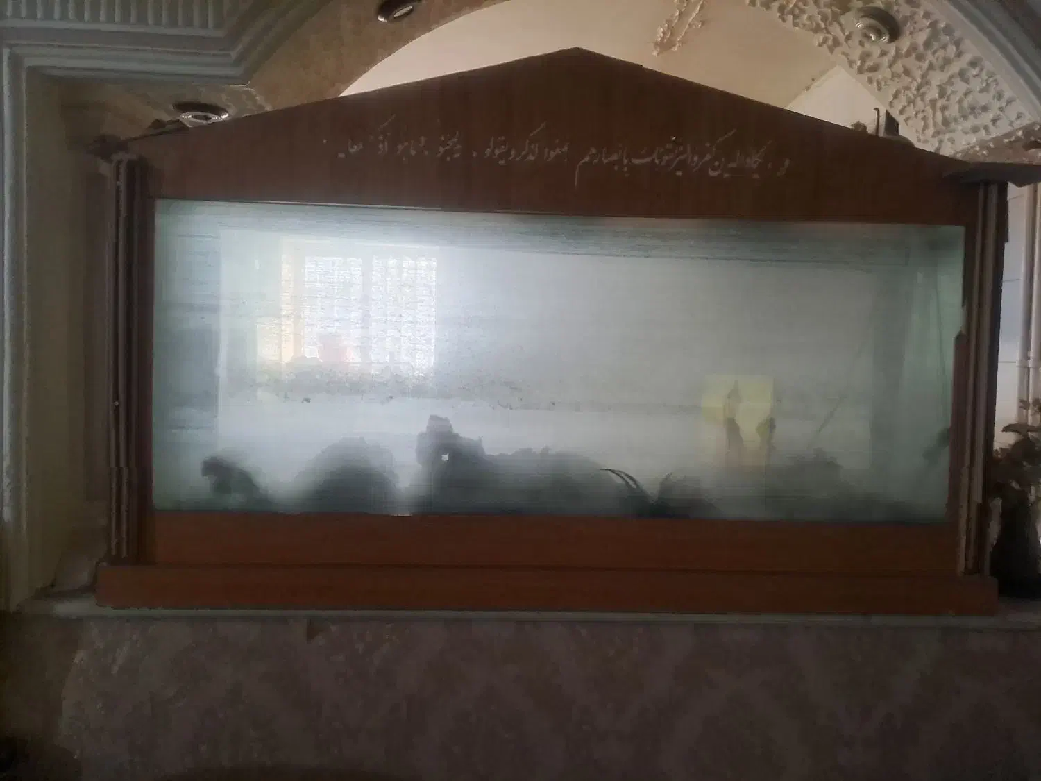 آکواریوم|ماهی|تربتحیدریه, بی بی حسنیه|دیوار