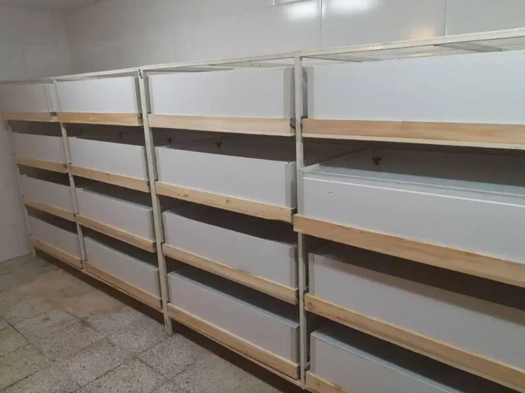 باکسهای مخصوص پرورش حلزون میلورم یاکاشت قارچ|لوازم جانبی حیوانات|اصفهان, جاوان|دیوار