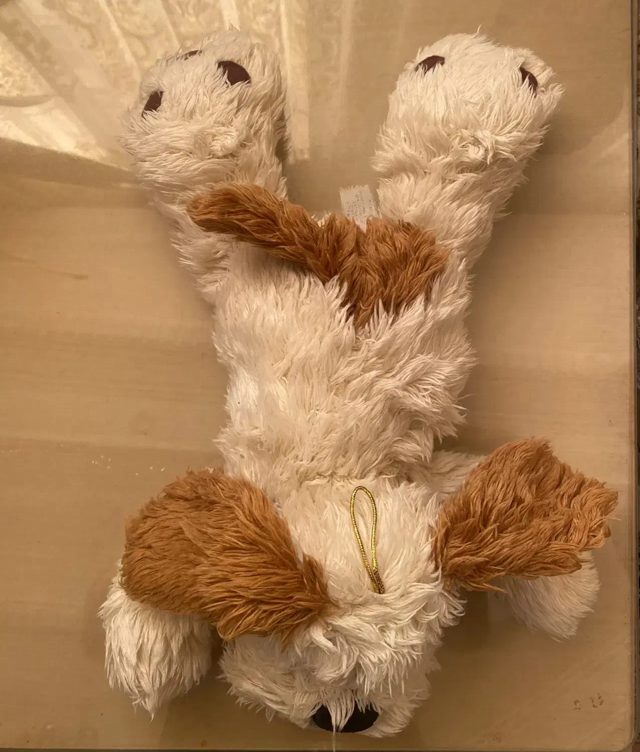 عروسک|اسباب‌‌بازی|رودسر, |دیوار