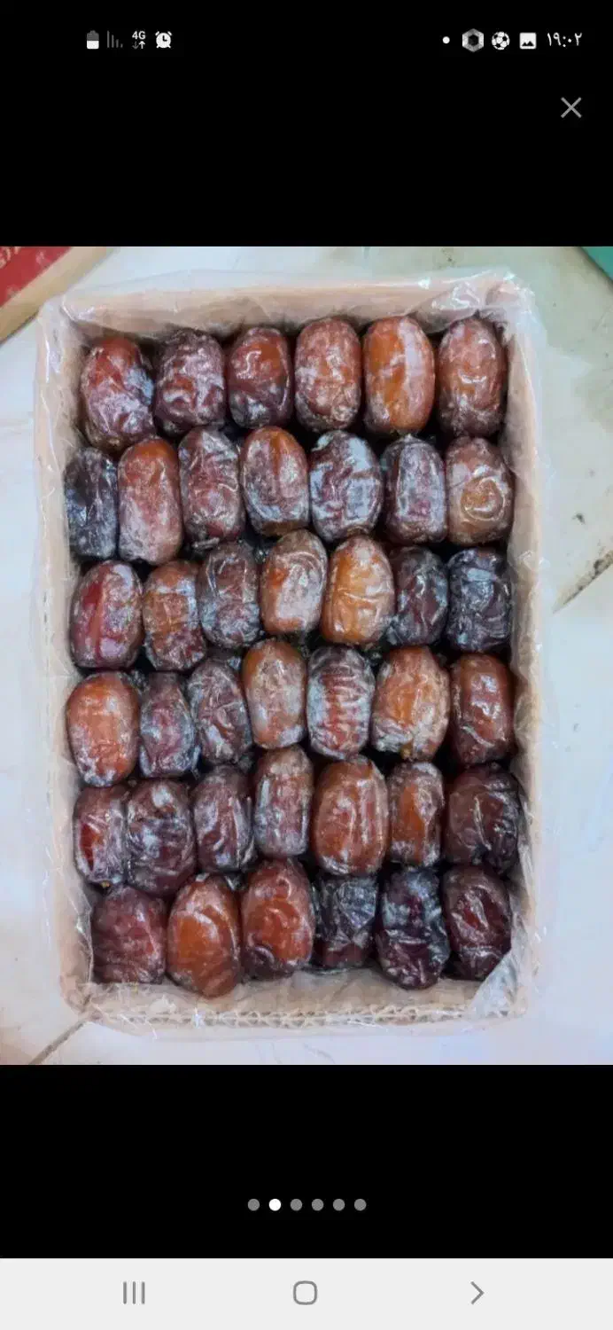 عرضه مستقیم خرما و رطب درجه یک|خوردنی و آشامیدنی|مشهد, کوی دروی|دیوار