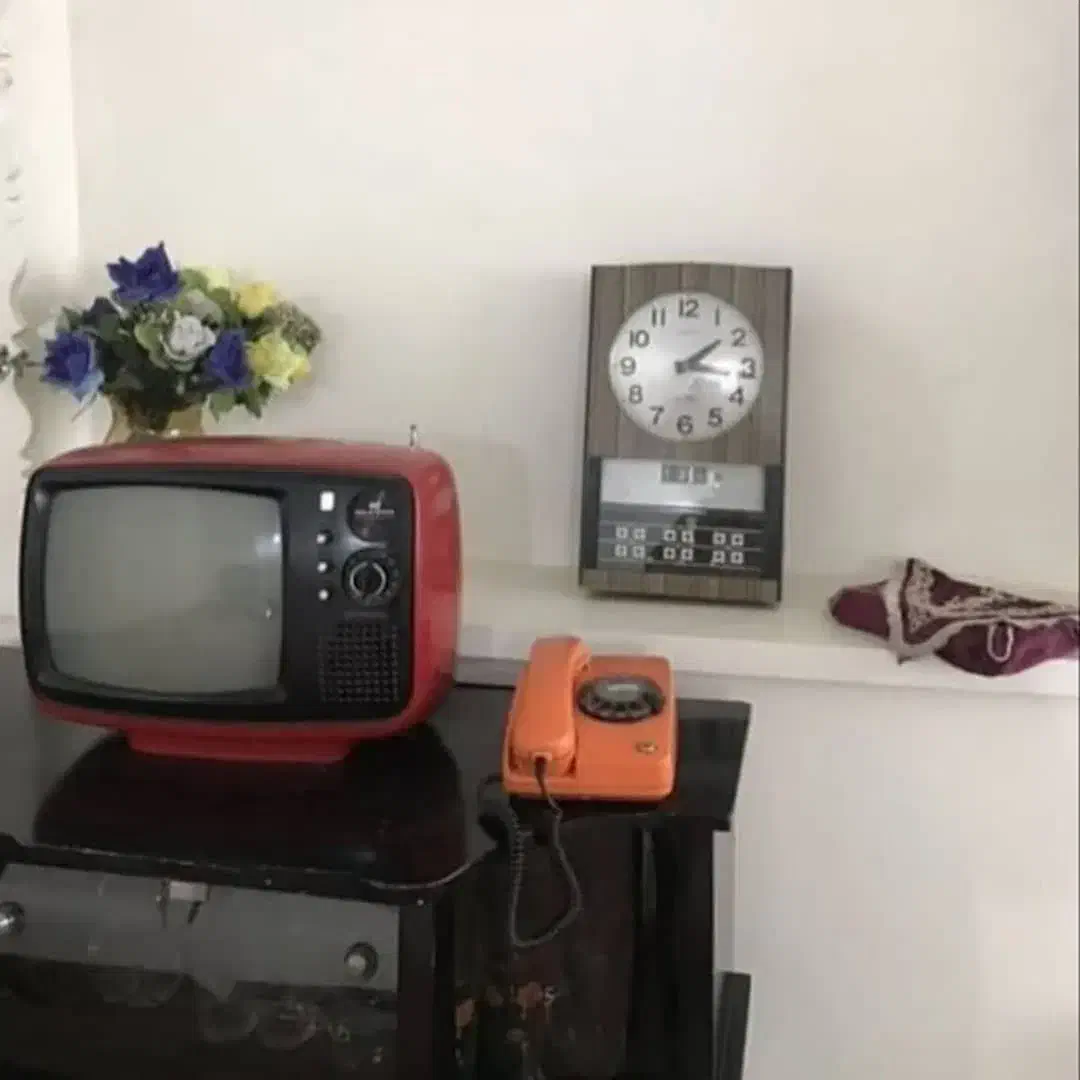 نظافت منزل فقط کافی یک بار امتحان کنید ضرر نمیکنید|خدمات نظافت|تهران, ونک|دیوار