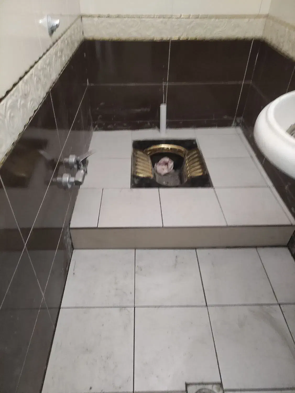 تشخیص ترکیدگی لوله آب با دستگاه فوجی دقیق نقطه زن|خدمات پیشه و مهارت|ایلام, |دیوار