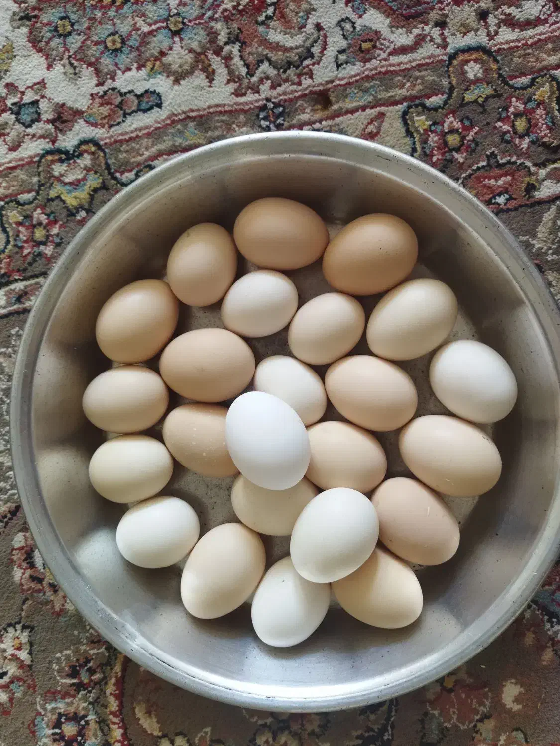 ارگانیک|خوردنی و آشامیدنی|سبزوار, توحیدشهر|دیوار