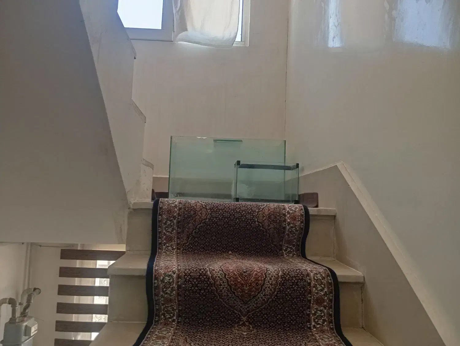 آکواریوم فروشی|ماهی|مرند, |دیوار