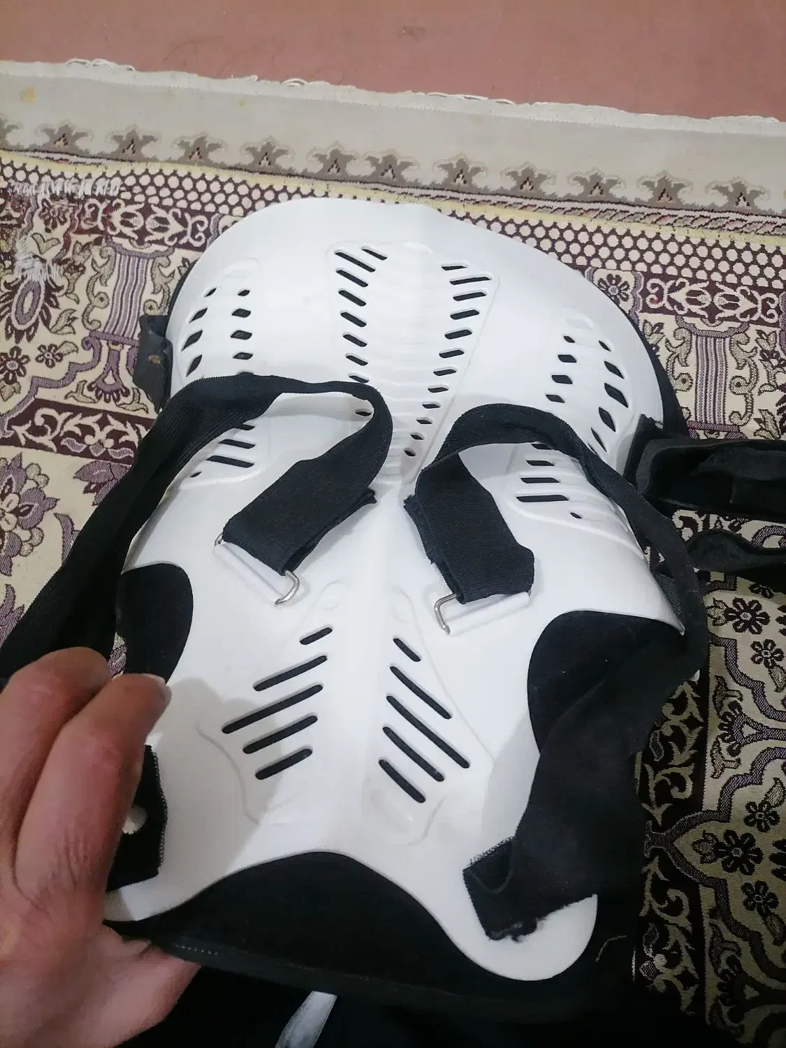 قوزبند|اسب و تجهیزات اسبسواری|اسدآباد, |دیوار