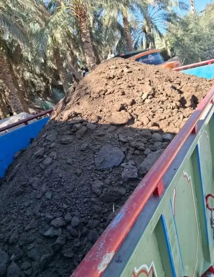 خاک گاوی|خدمات باغبانی و درختکاری|نرماشیر, |دیوار