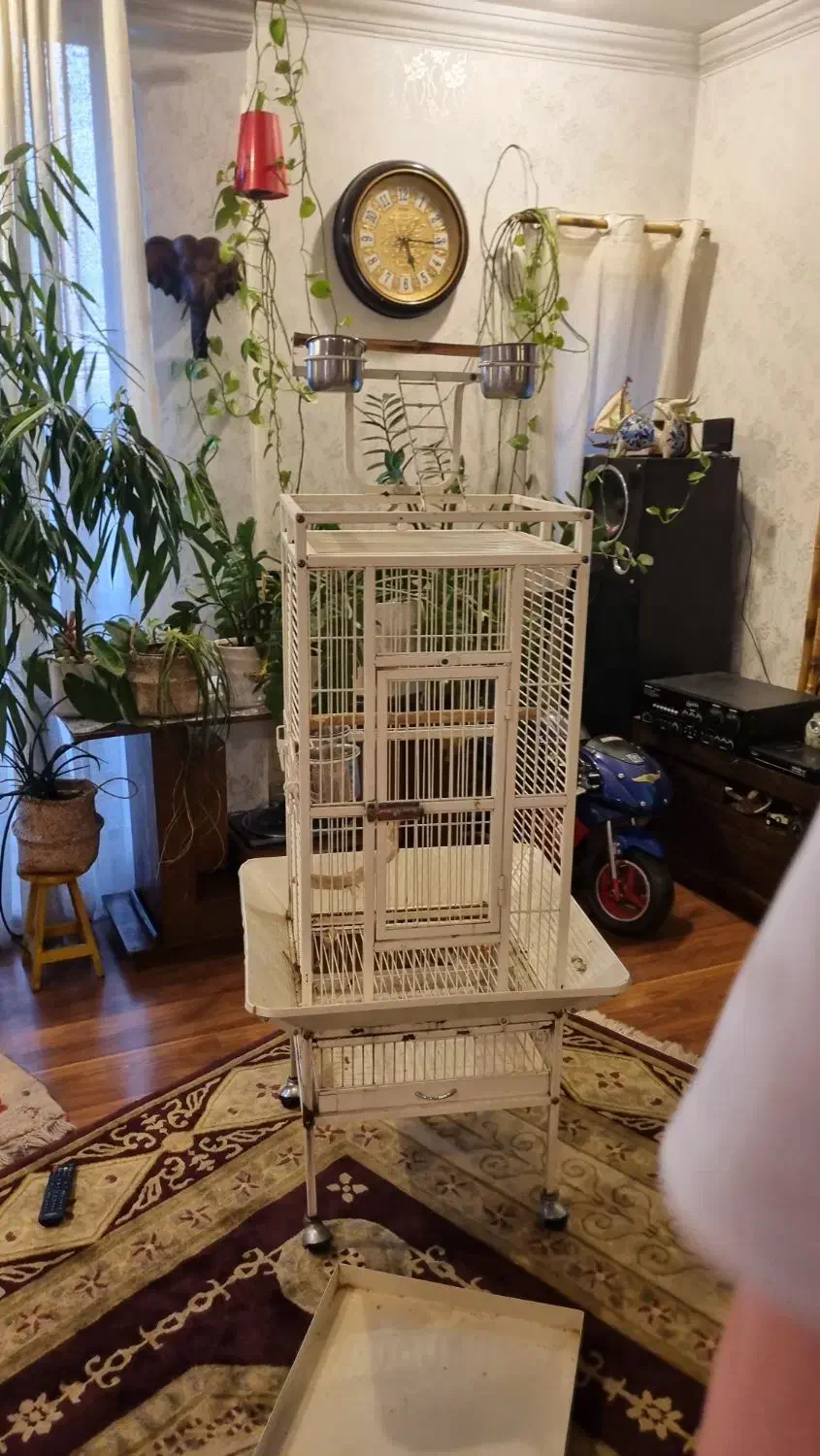 قفس طوطی|لوازم جانبی حیوانات|تهران, میرداماد|دیوار