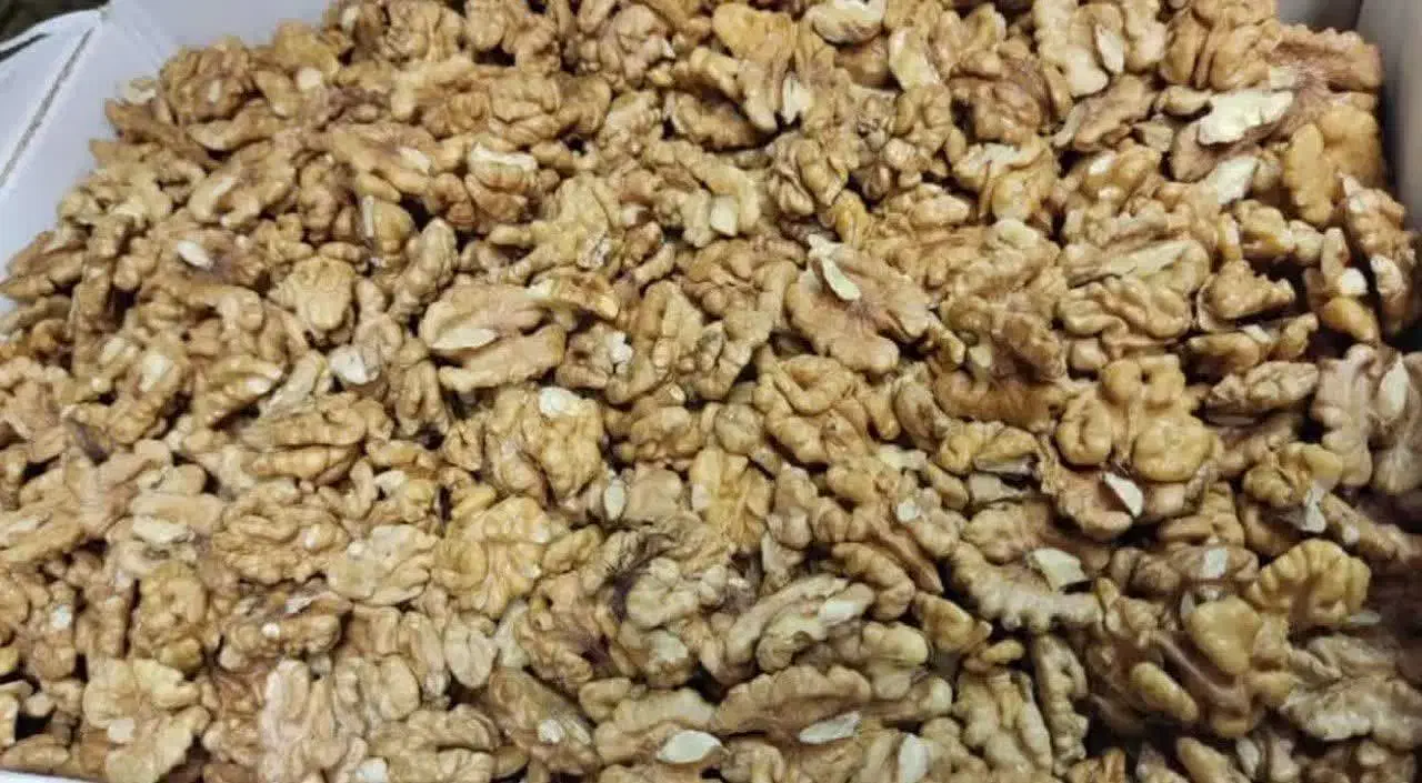 مغز گردو|عمدهفروشی|قم, باغ شریفی|دیوار