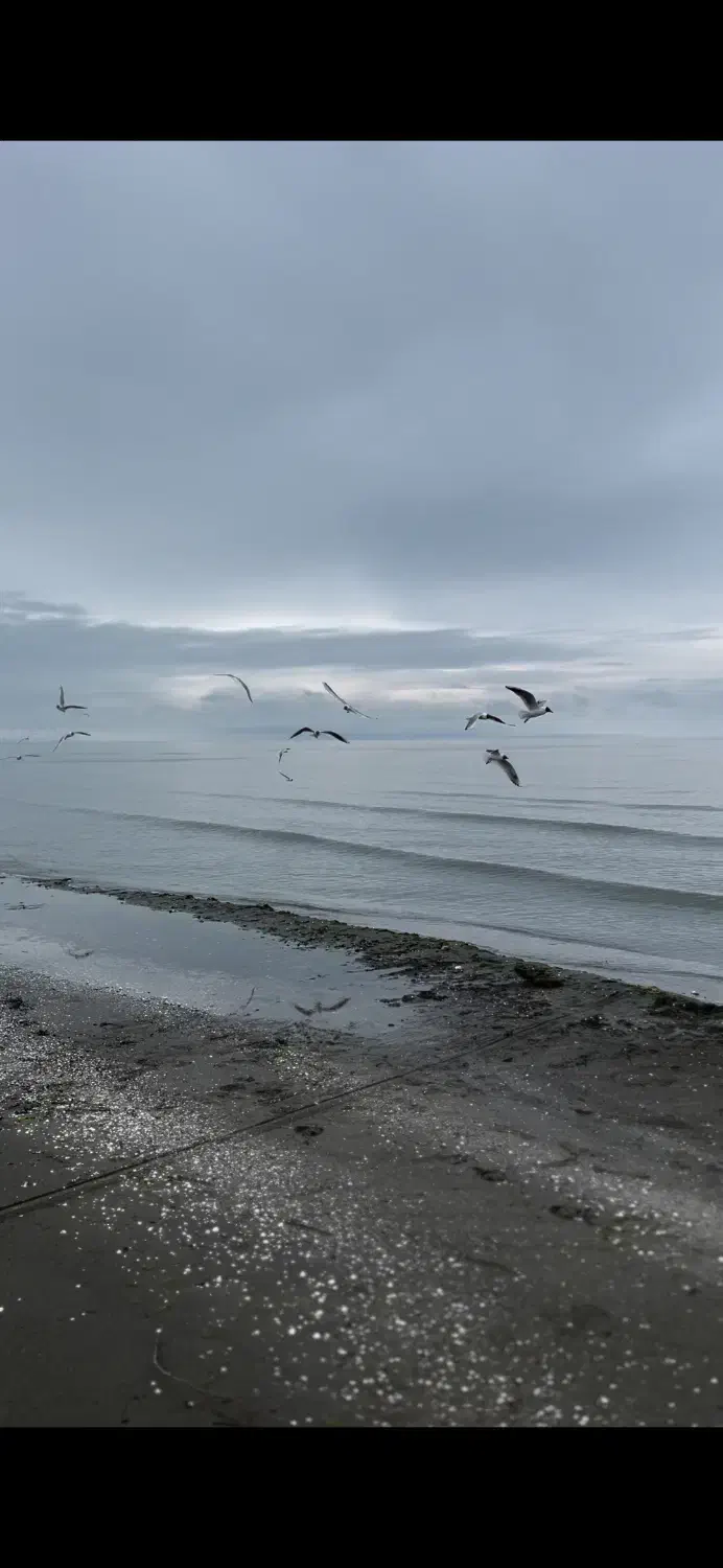۴۳۰ متر/کاربری مسکونی/۱۵۰ متر تا لب دریا|فروش زمین و ملک کلنگی|پره‌سر, |دیوار