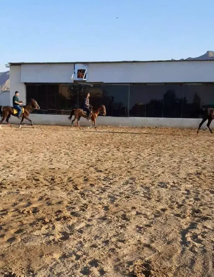 اجاره کافه رستوران|اجارهٔ مغازه و غرفه|اصفهان, زیار|دیوار