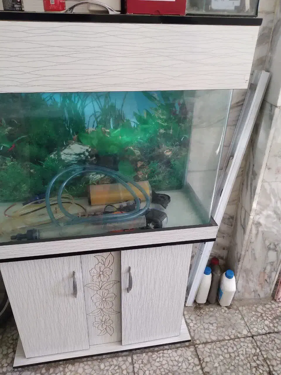 آکواریوم در حدنو|ماهی|اسلام‌شهر, مظفریه|دیوار