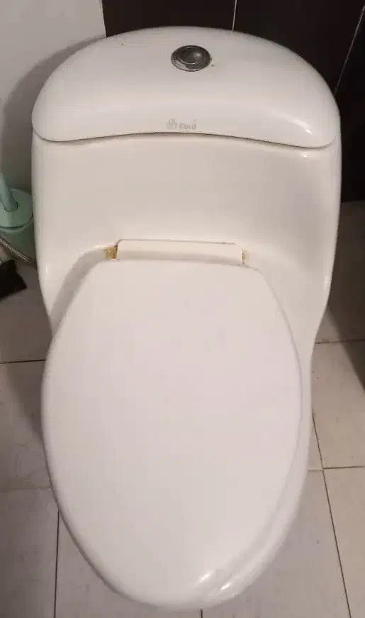 توالت فرنگی|لوازم سرویس بهداشتی|شیراز, معالی‌آباد|دیوار