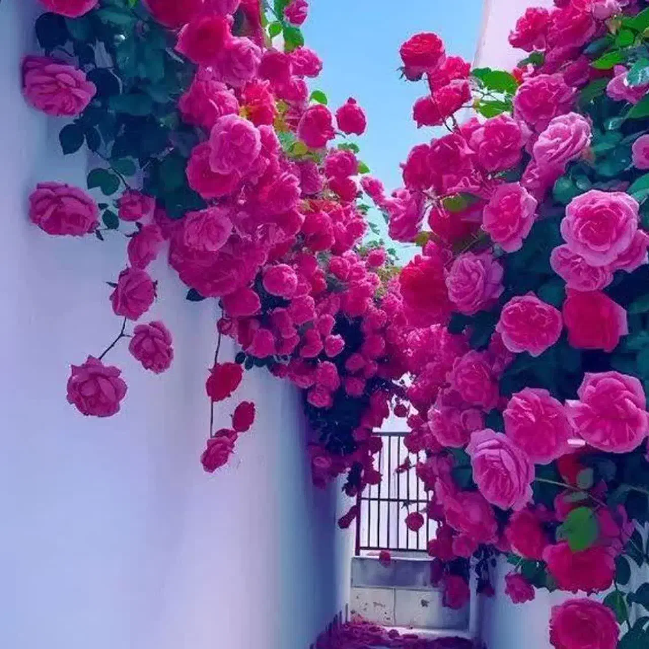 سرویس مدارس و خصوصی|خدمات حمل و نقل|دزفول, |دیوار