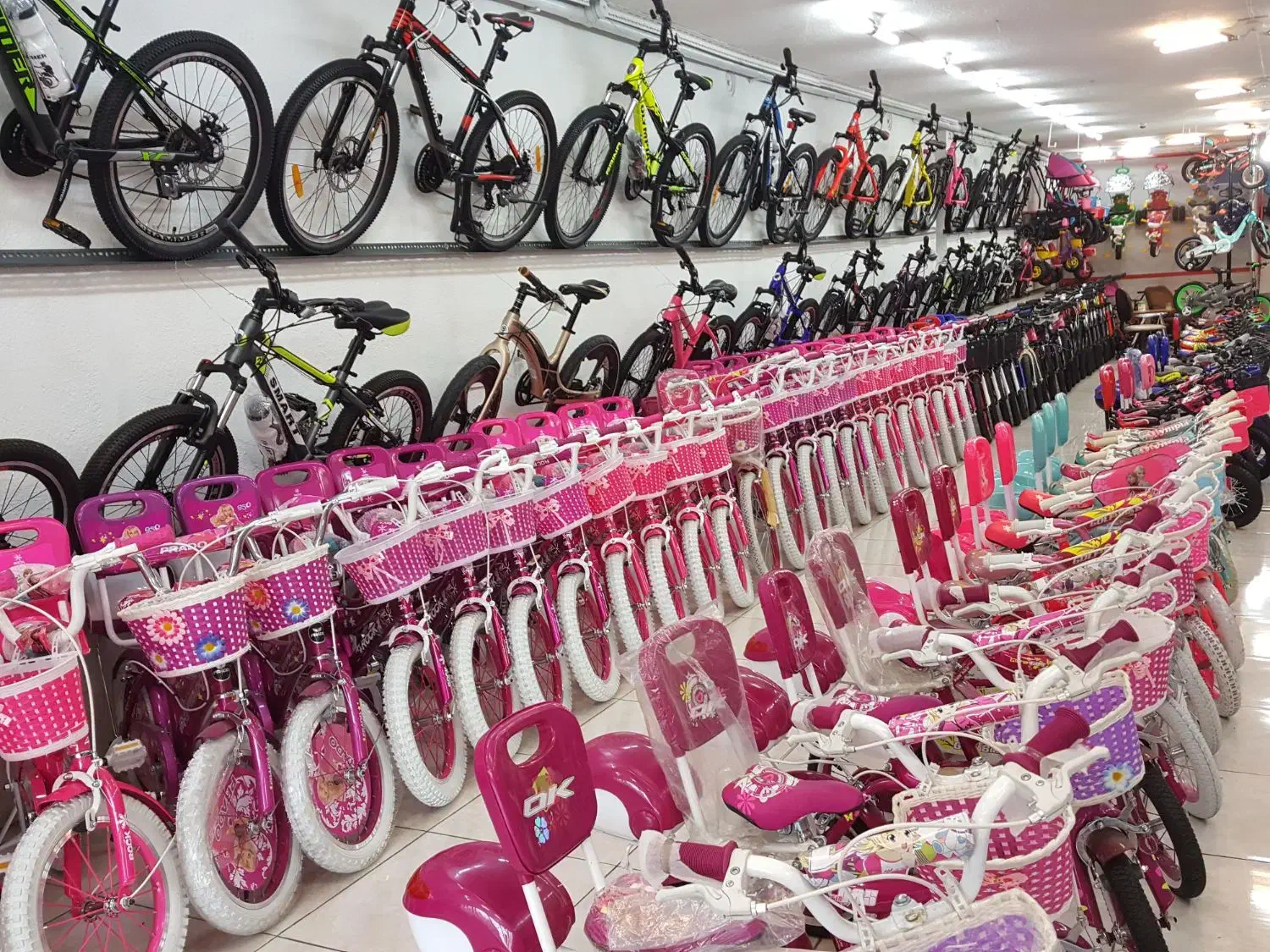 دوچرخه از ۱۲ تا ۲۹(آراددوچرخ)|دوچرخه، اسکیت، اسکوتر|قم, شهید صیاد شیرازی|دیوار