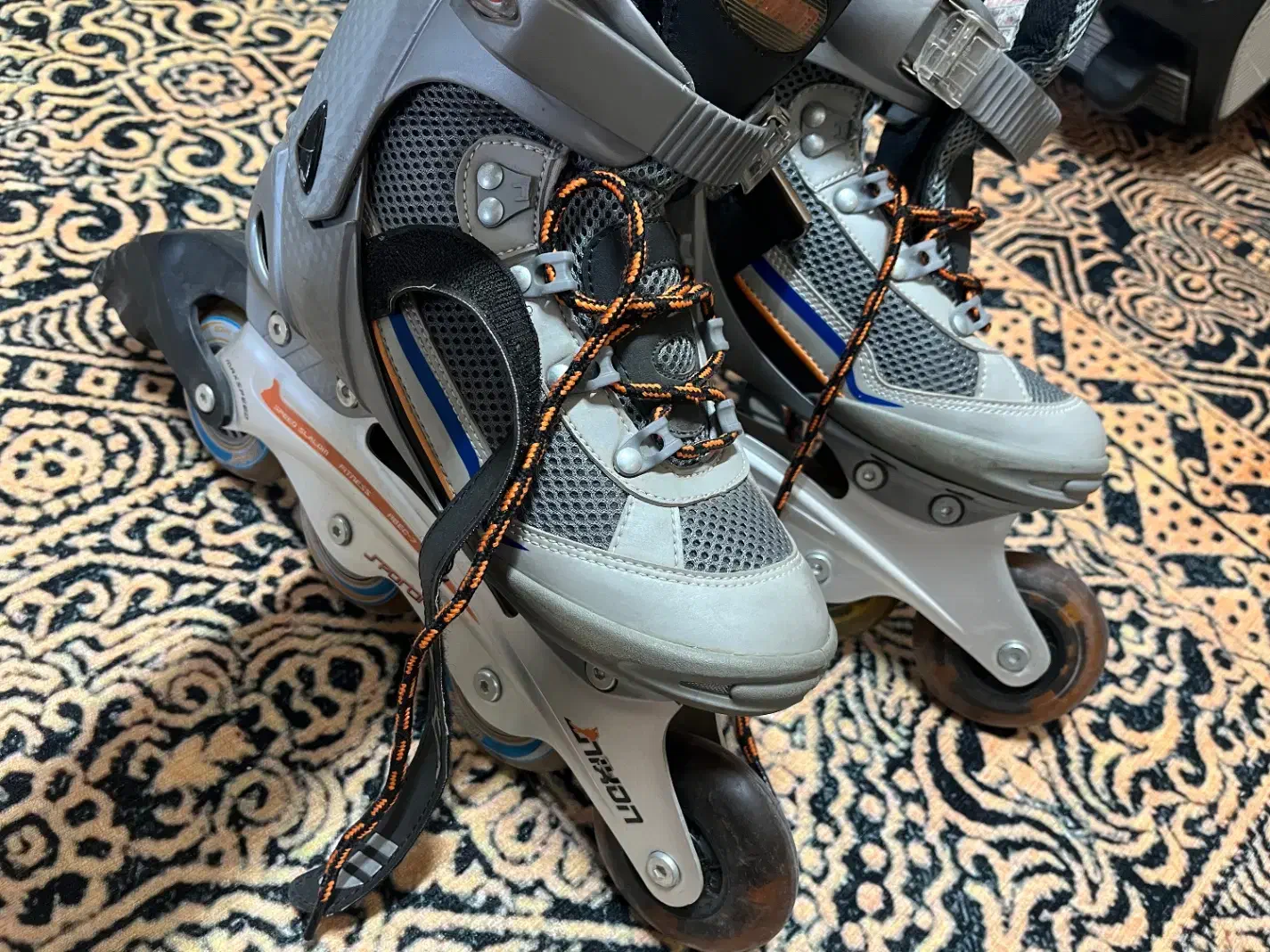 اسکیت|دوچرخه، اسکیت، اسکوتر|جهرم, |دیوار