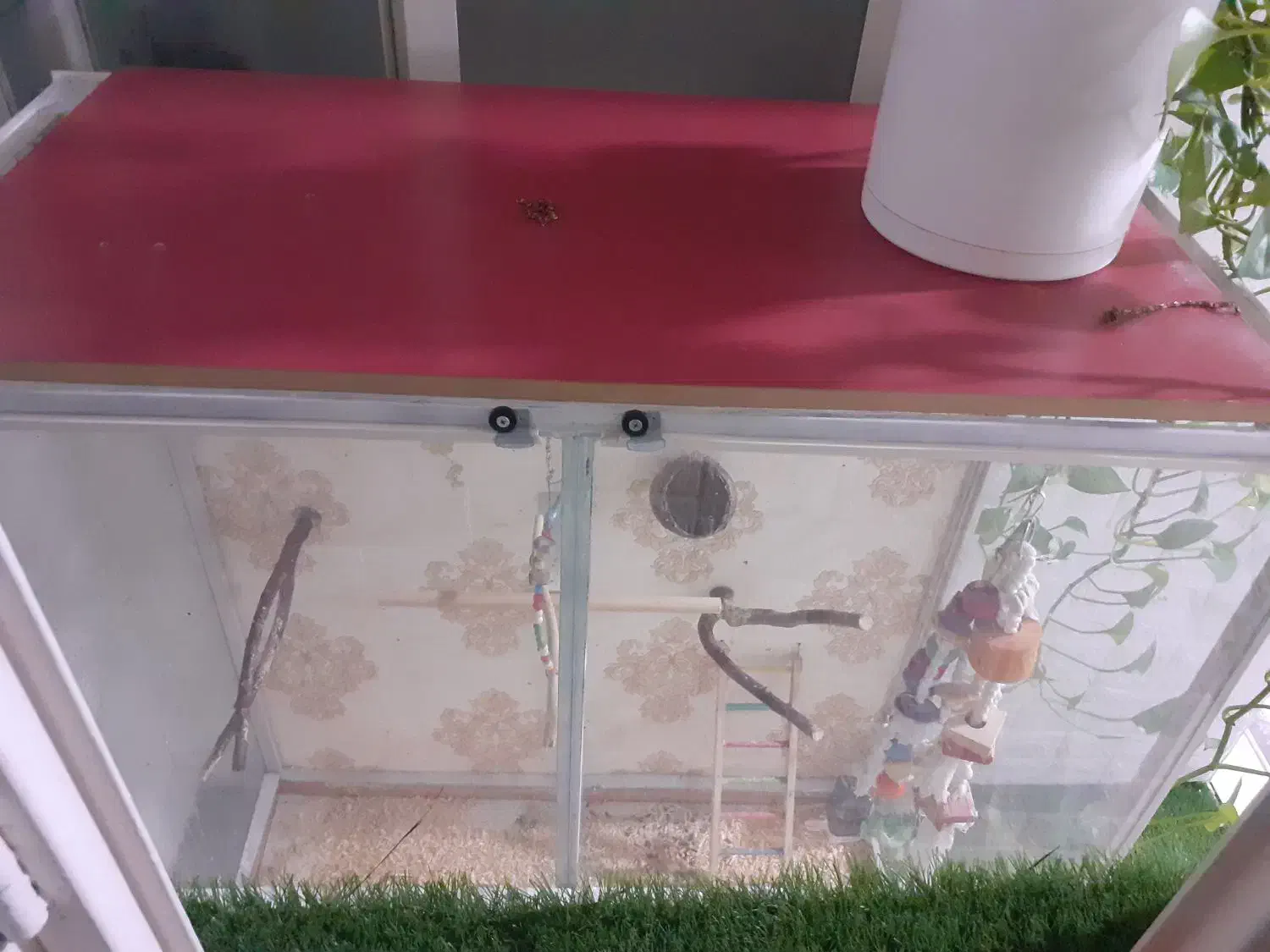 قفس پرنده|لوازم جانبی حیوانات|پاکدشت, پاکدشت (مامازند)|دیوار