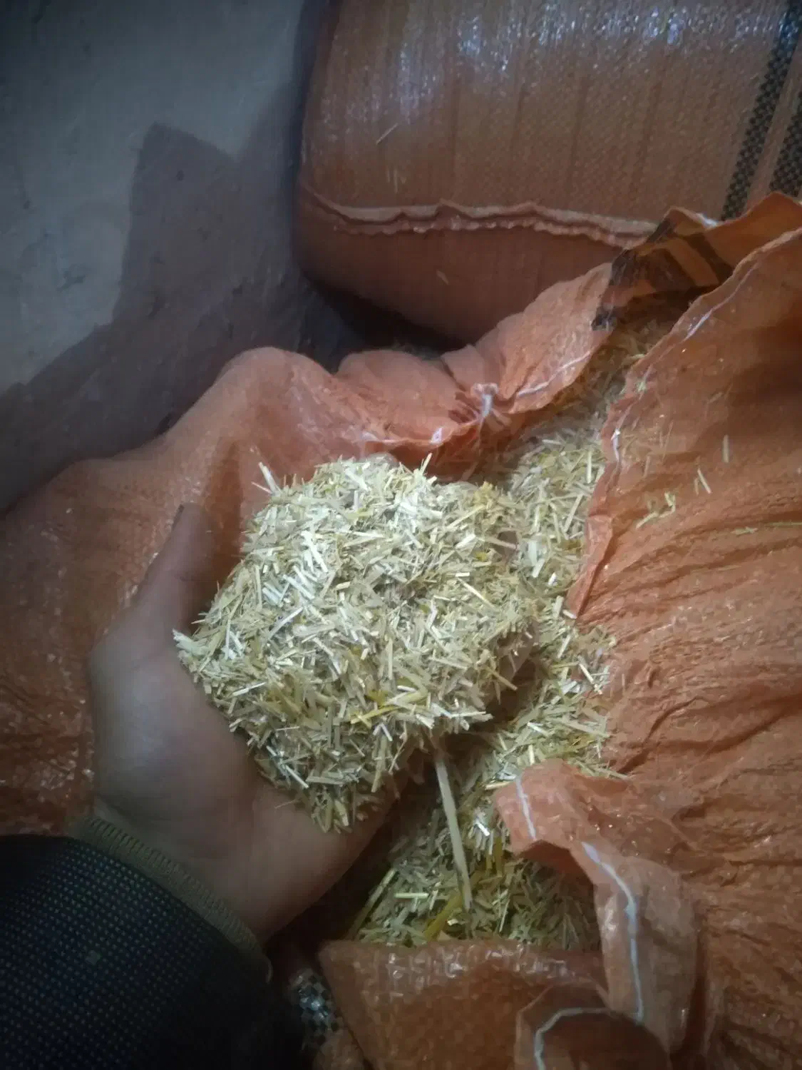 کاه|عمدهفروشی|تربتحیدریه, کلاته توکلی|دیوار