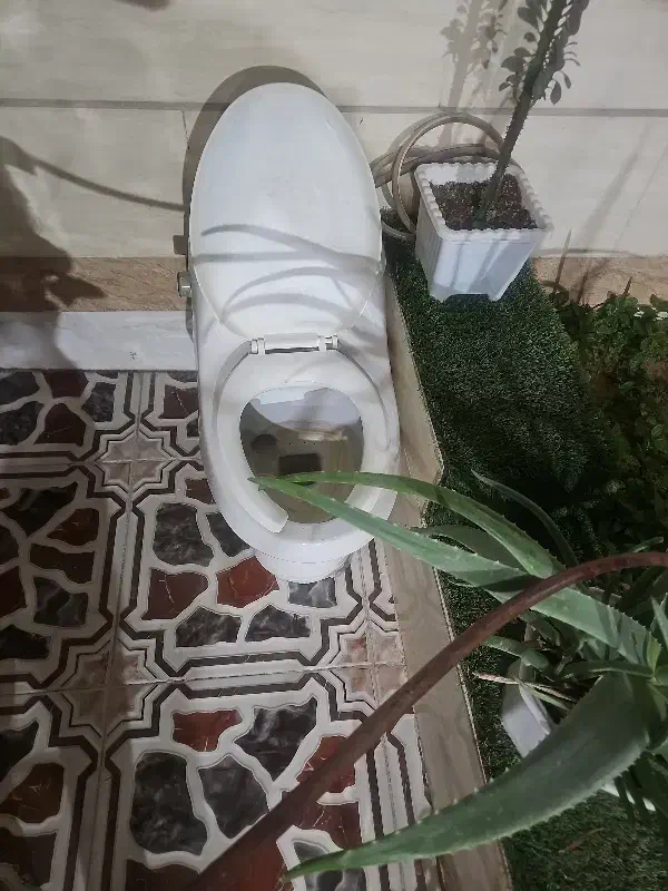 دسشویی فرنگی|لوازم سرویس بهداشتی|چغادک, |دیوار