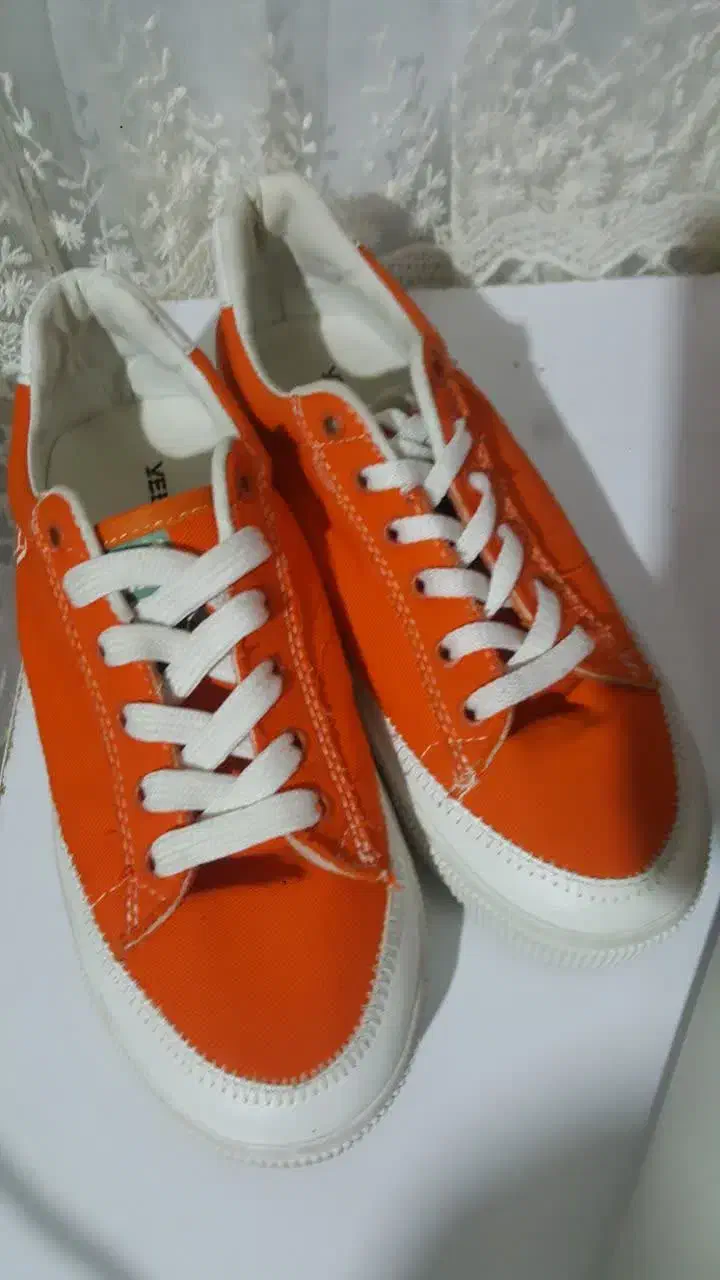 سایز ۳۸|کیف، کفش، کمربند|قم, چهار مردان|دیوار