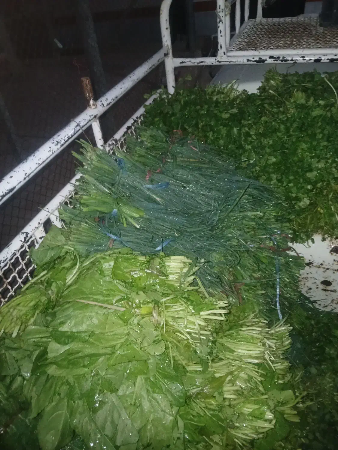 سبزی خورشتی|عمدهفروشی|مسجد سلیمان, |دیوار