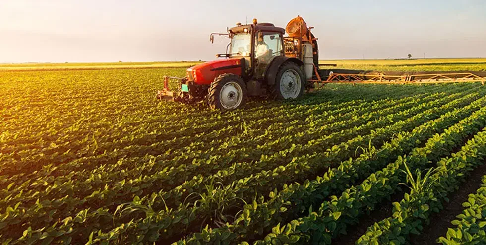 زمین کشاورزی اجاره داده میشود ملاحسن و قره مصلی|اجارهٔ دفتر صنعتی، کشاورزی، تجاری|آشخانه, |دیوار