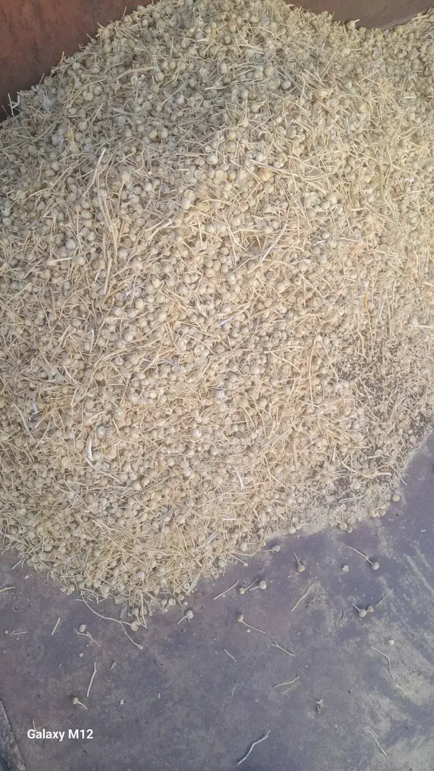 اسپند|خوردنی و آشامیدنی|سبزوار, اسلام آباد|دیوار