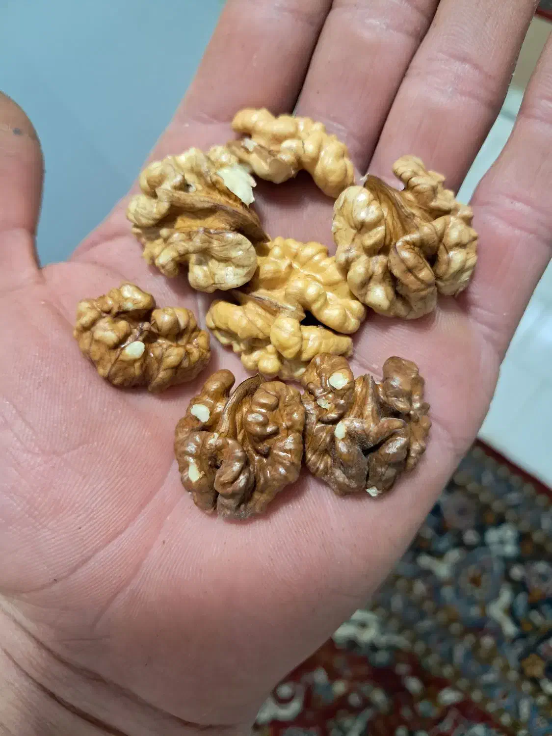 گردو|خوردنی و آشامیدنی|شاهین‌شهر, شهرک گلدیس|دیوار