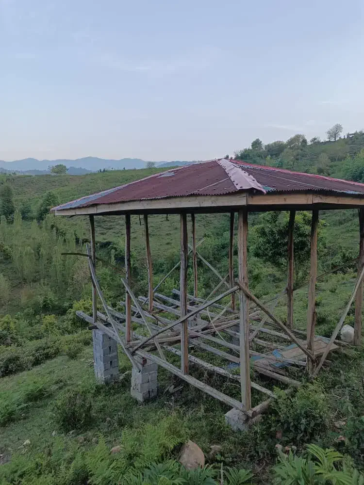 500متر زمین باغی و کلبه جنگلی|فروش زمین و ملک کلنگی|اطاقور, |دیوار