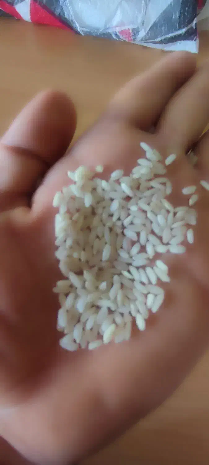 برنج شمشیری طلا|خوردنی و آشامیدنی|چرداول, |دیوار
