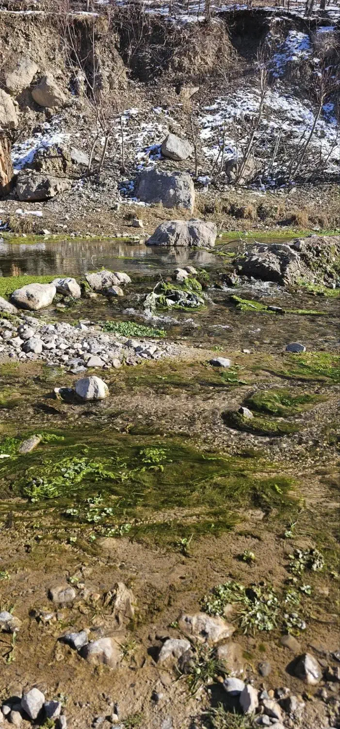 طبیعت گرد|فعالیت داوطلبانه|مشهد, عامل|دیوار