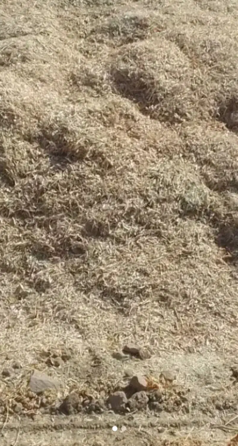 کاه لوبیا کیلویی|عمدهفروشی|قیدار, |دیوار