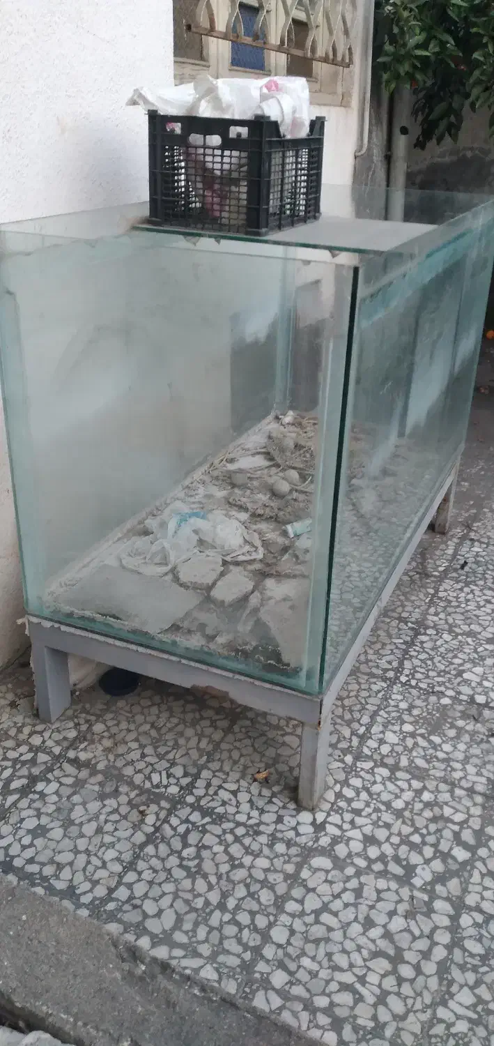 اکواریوم بزرگ ماهی|ماهی|آمل, |دیوار