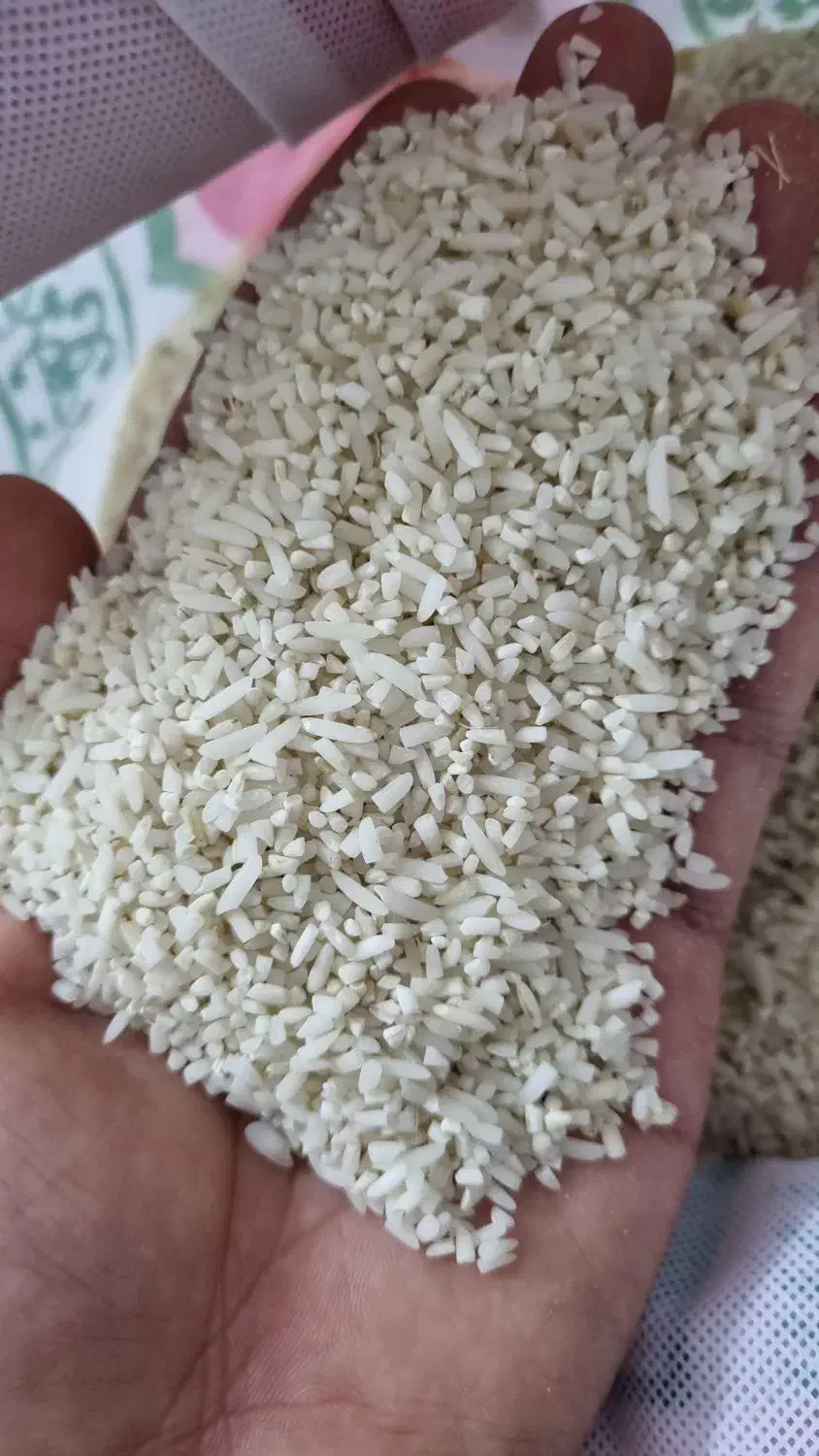 برنج نیم دونه درجه یک|خوردنی و آشامیدنی|قم, لسانی|دیوار