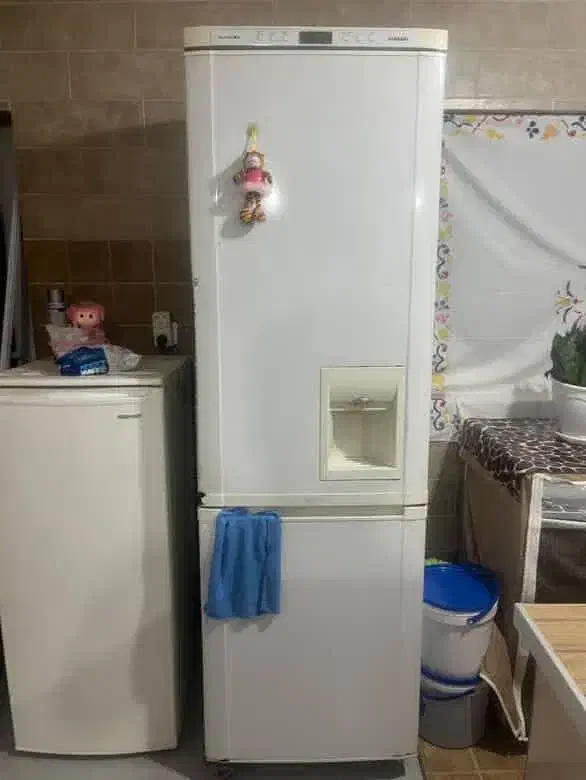 یخچال فریزر|یخچال و فریزر|چالوس, |دیوار