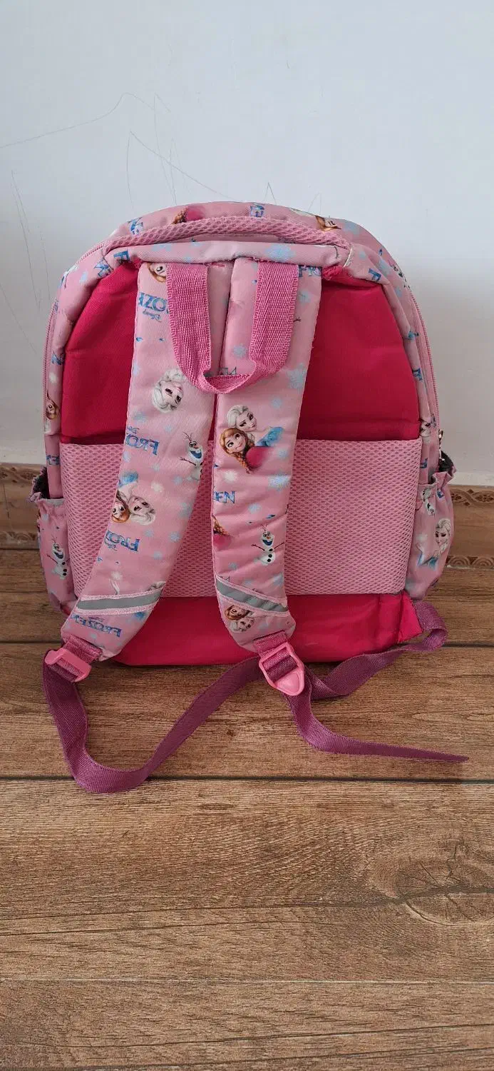 کوله ی مدرسه در حد نو|کیف، کفش، کمربند|اشتهارد, |دیوار