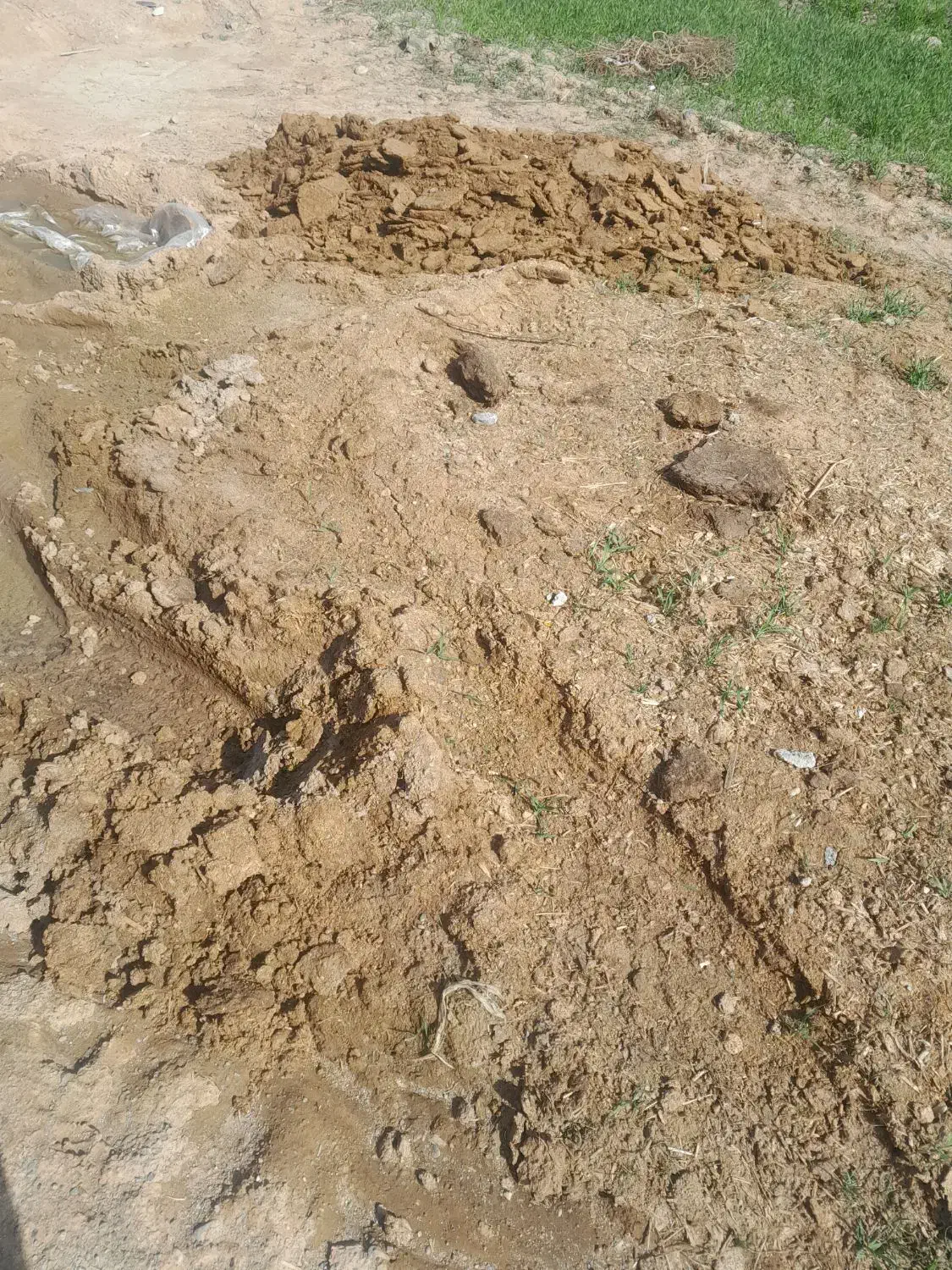 بار گاوی|خدمات باغبانی و درختکاری|نیشابور, فضل|دیوار