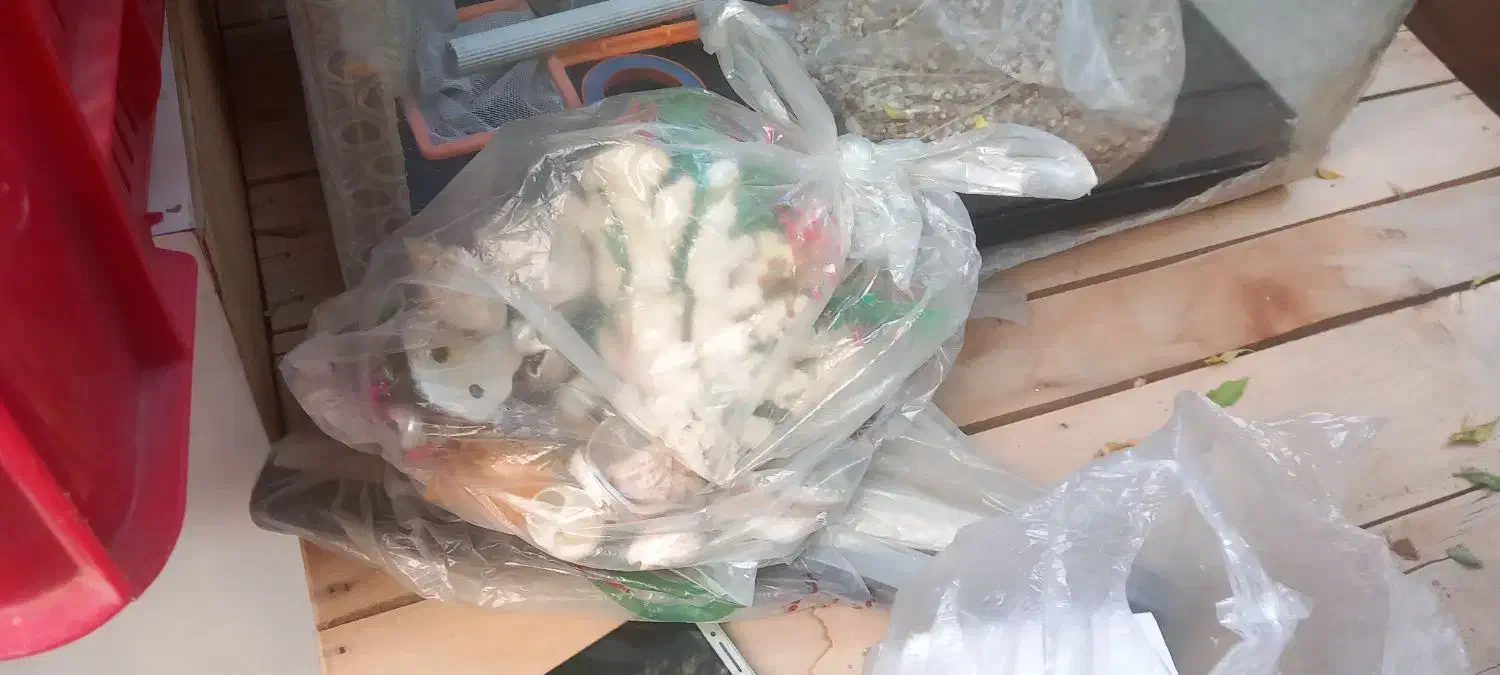 آکواریم شرکتی با لوازم|ماهی|تهران, افسریه شمالی|دیوار