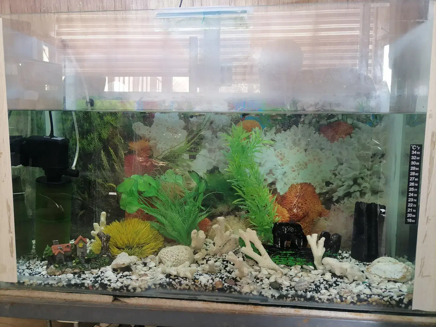 اکواریوم با ماهی|ماهی|اردبیل, |دیوار