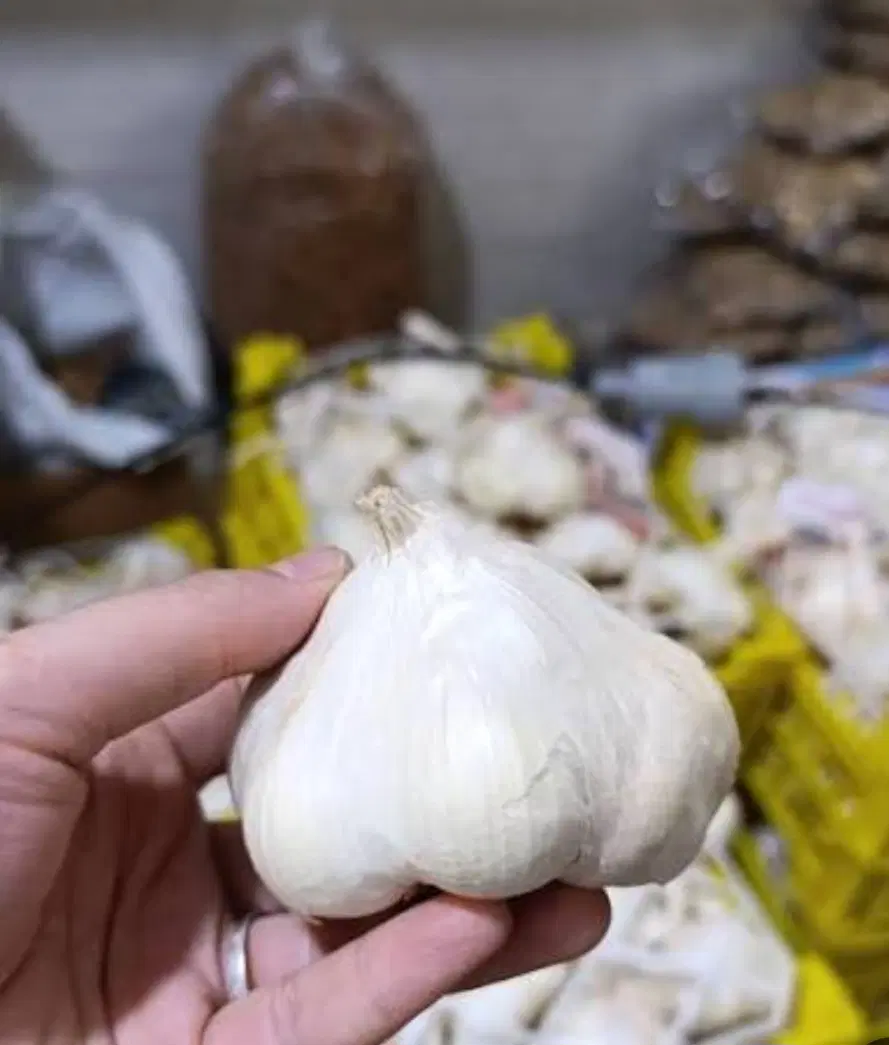 سیر سیر|خوردنی و آشامیدنی|اراک, |دیوار