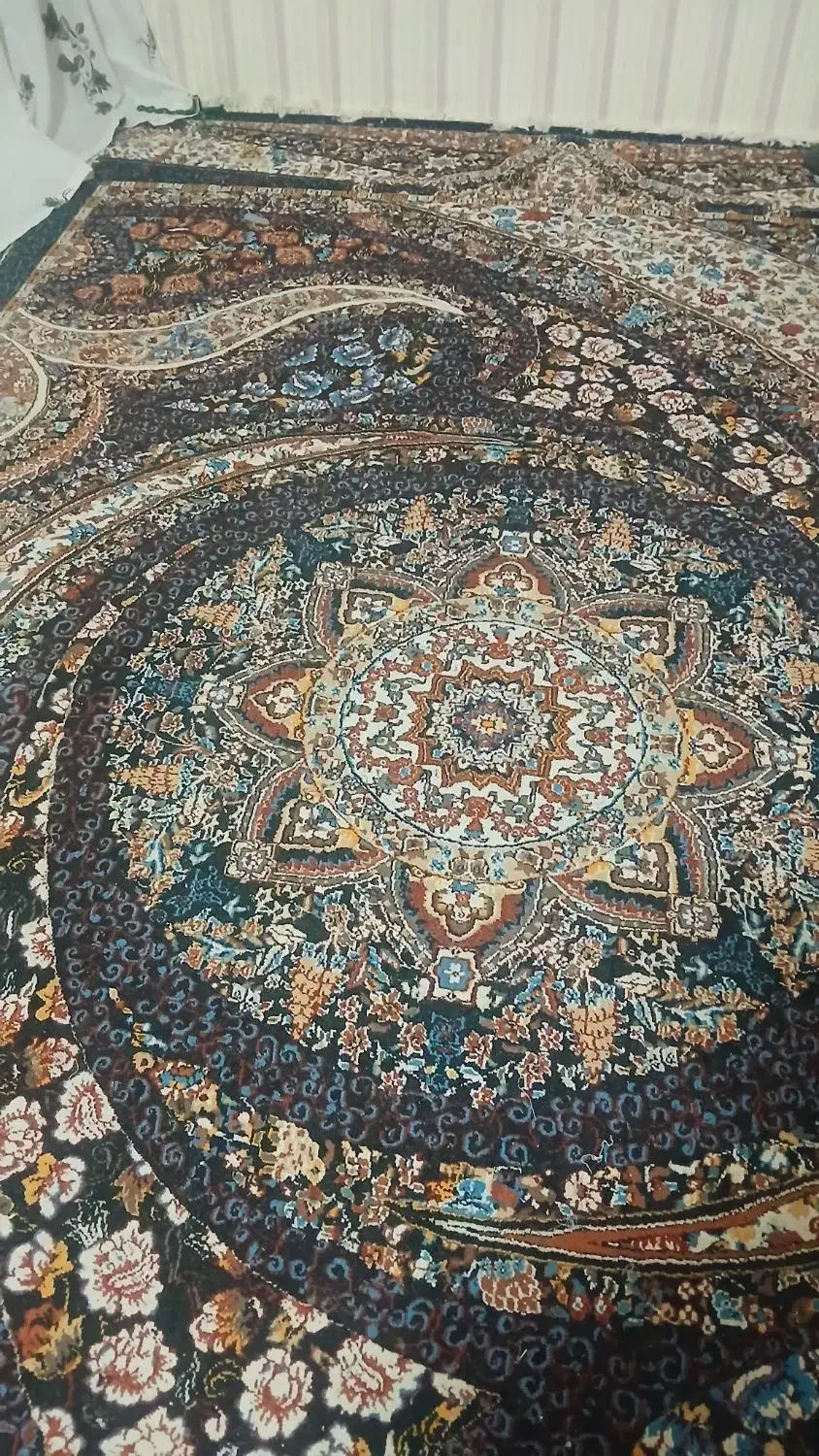 فرش نکین مشهد ۷۰۰ شانه|فرش|مشهد, آزادشهر|دیوار