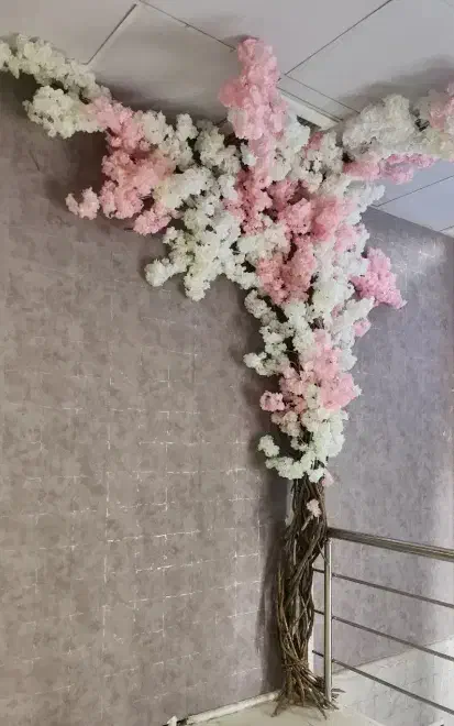 اجاره تمامی لاین های زیبایی|اجارهٔ دفتر کار، اتاق اداری، مطب|نیشابور, مدرس|دیوار