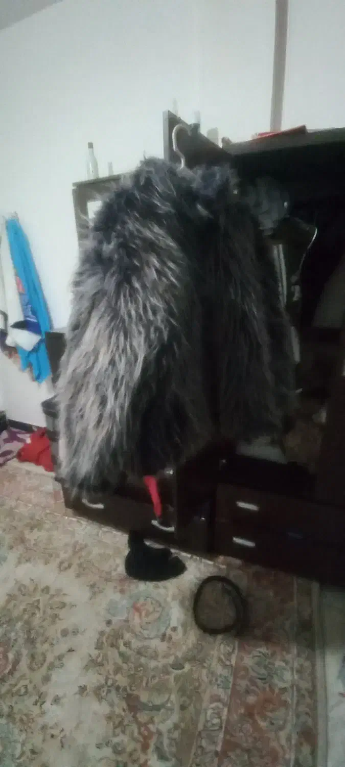 کاپشن خز|لباس|نسیمشهر, |دیوار