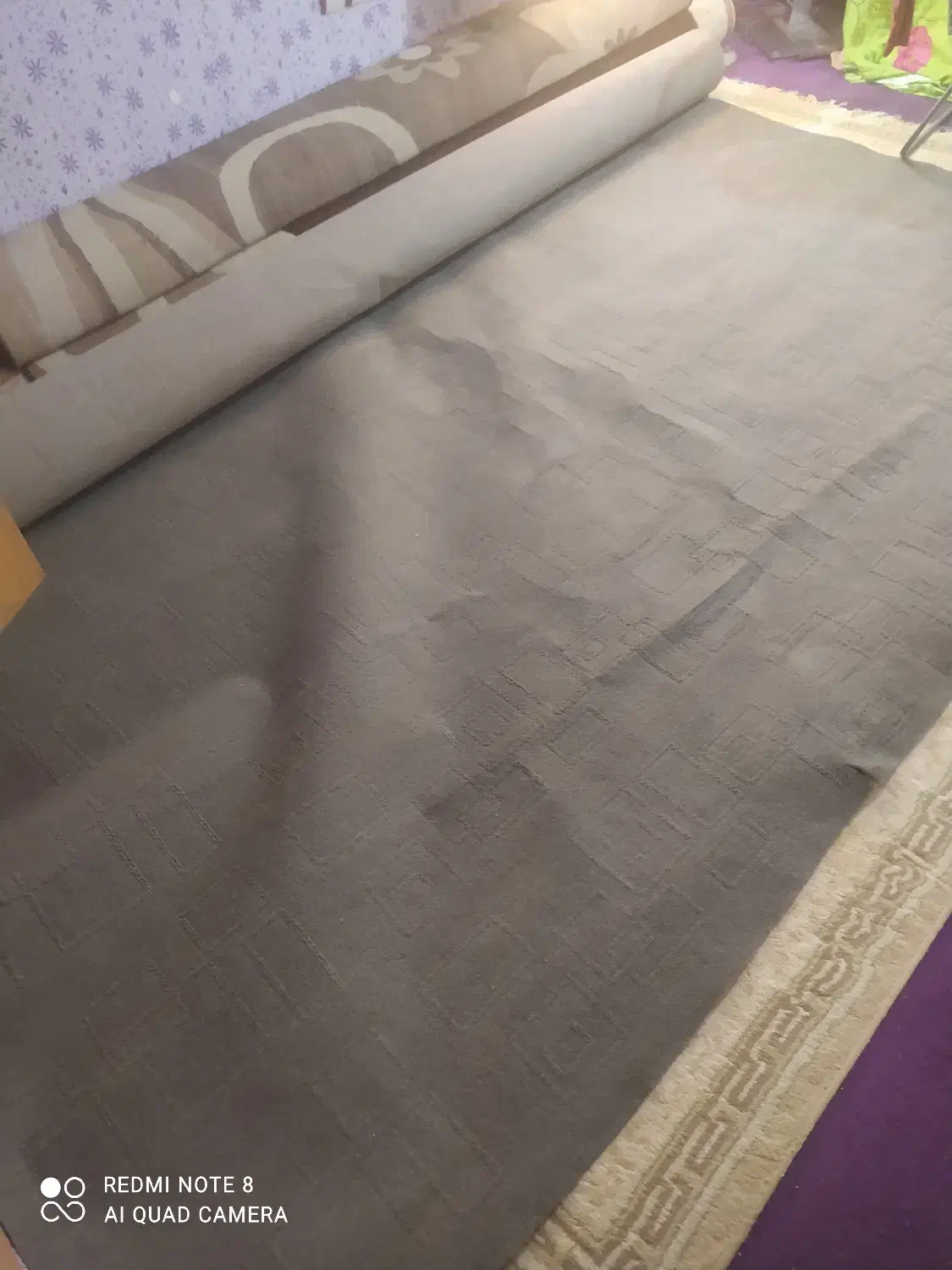 ۲ تا موکت هرکدوم ۱۸ متری|موکت|دوگنبدان, |دیوار