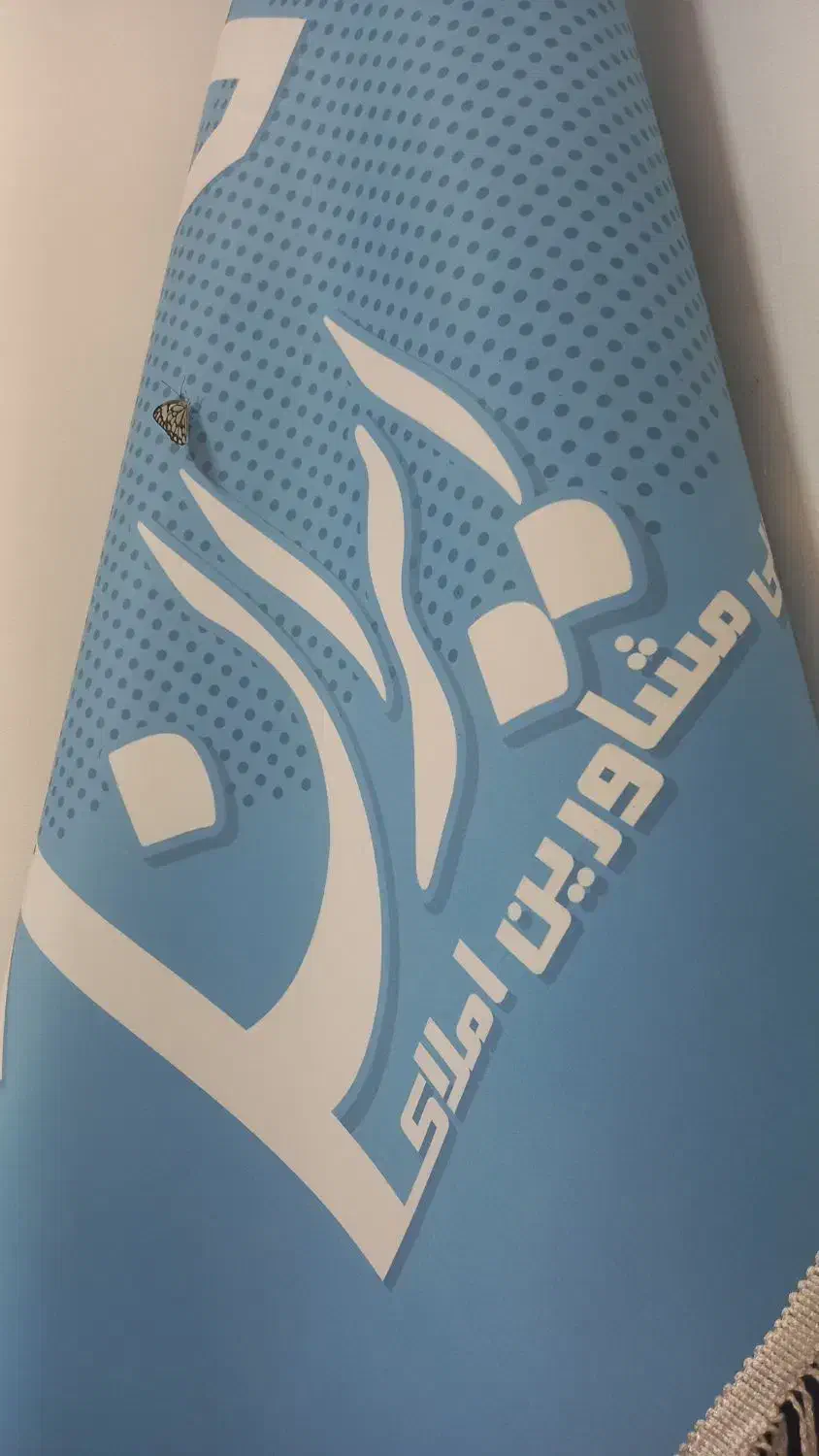 مغازه تجاری ۱۰۰ متر  لوکس شیک بر اصلی دانشجو|اجارهٔ مغازه و غرفه|گنبد کاووس, |دیوار