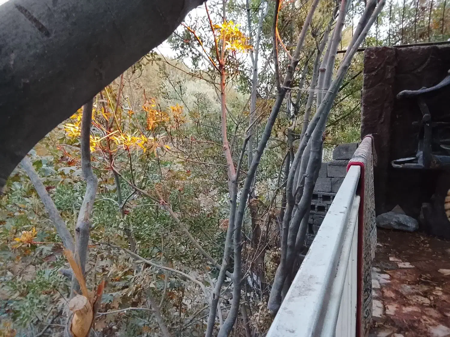 سویت نقلی لب آب باغبهادران.فوری.فوری.|اجارهٔ خانه و ویلا|باغ بهادران, |دیوار