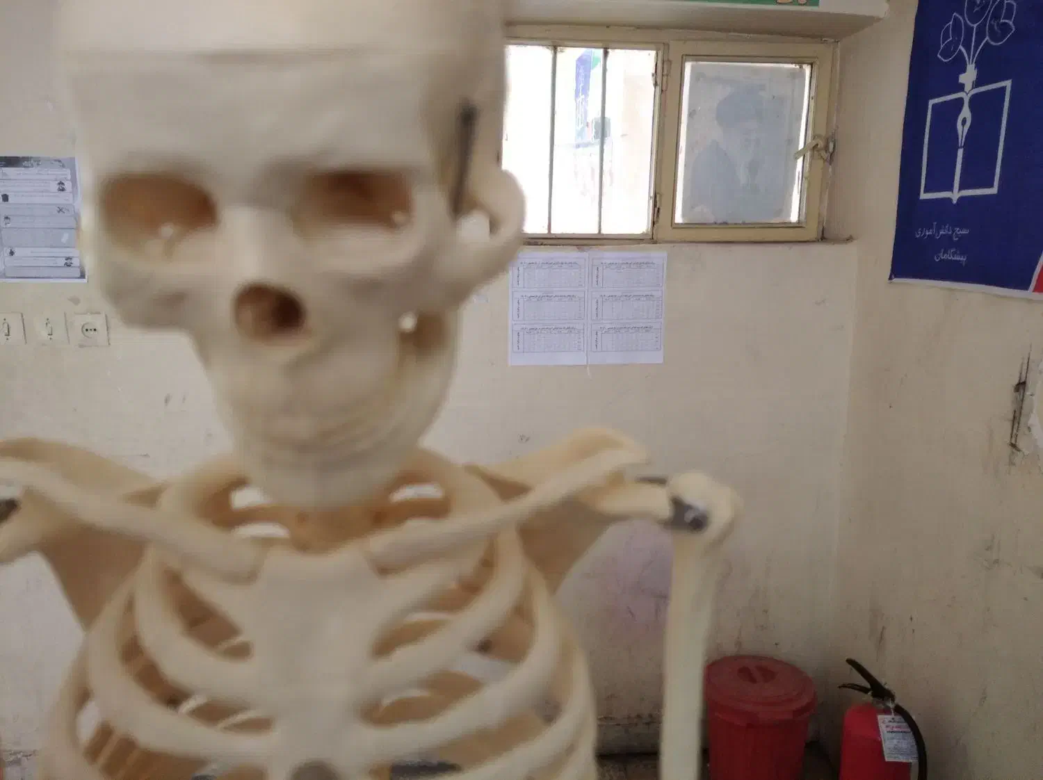 طب سنتی|خدمات آرایشگری و زیبایی|مراغه, |دیوار