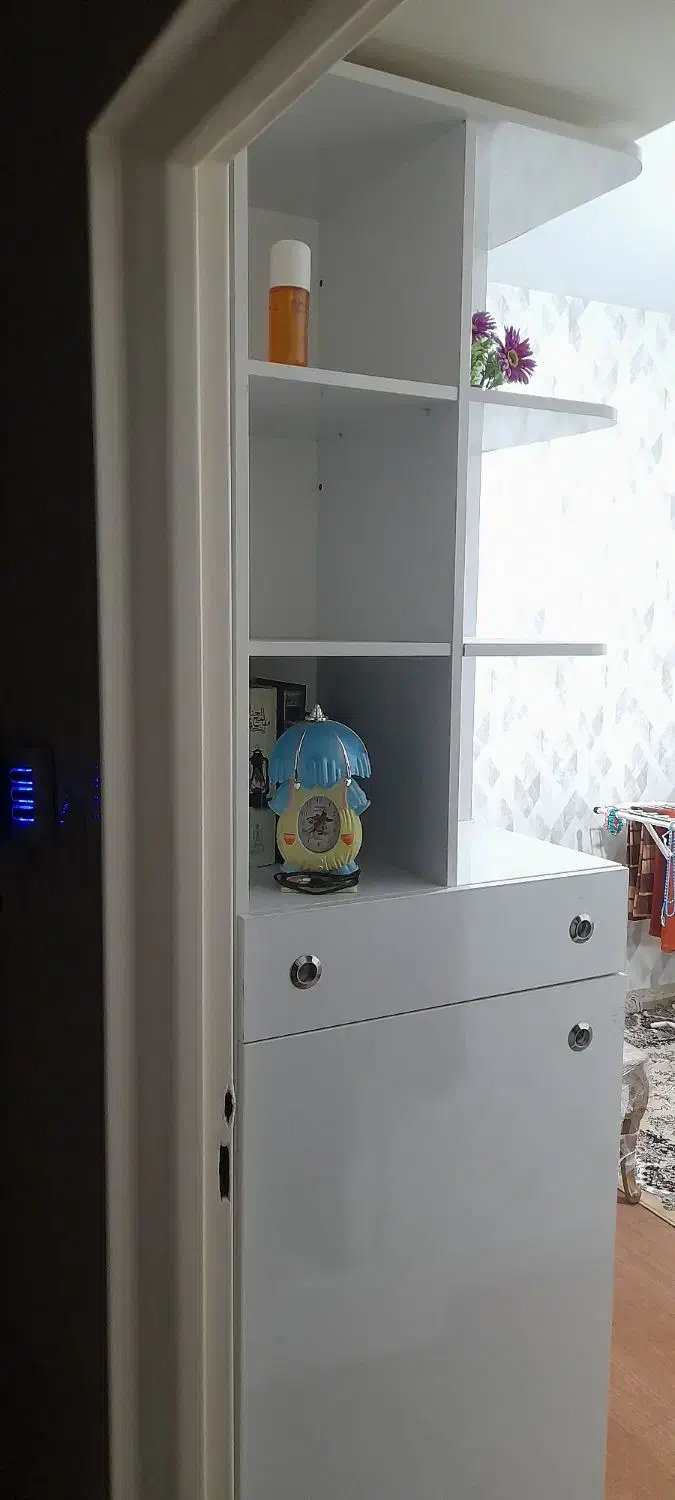 کمد کتابخونه دکوری دار|کتابخانه، شلف، قفسههای دیواری|تهران, مسعودیه|دیوار