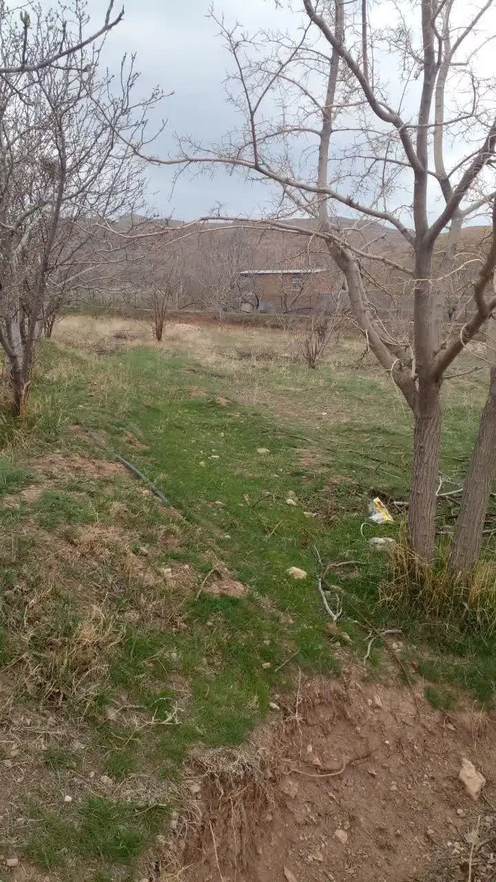 زمین ویلایی ورده به قیمت|فروش خانه و ویلا|زرندیه, |دیوار